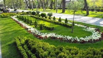 Spring Garden Wallpaper Jpg