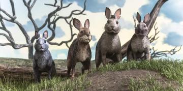 Watership Down