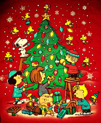 Chronicles Of A Love Affair With Nature Peanuts Christmas