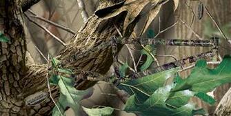Realtree Camo Wallpaper For Desktop Special With