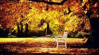 Autumn HD Wallpaper 1080p Image