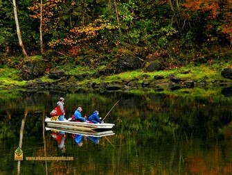 Bass Fishing Wallpaper Background