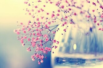Wallpaper Sweet By Nichhi