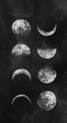 Bohemian Moon Wallpaper On