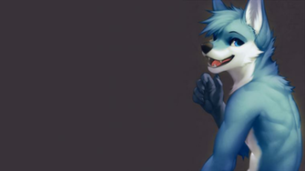 Furry Wallpaper Gorgeous Background