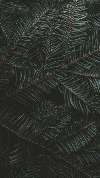 Merry Preppy Christmas iPhone Wallpaper