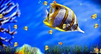 Animated Christian Screensavers All HD Wallpaper