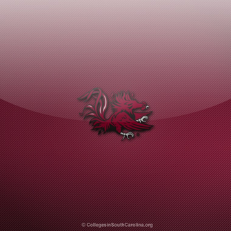 South Carolina Gamecocks iPad Wallpaper