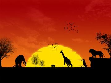 Savana By Deeo Elaclaire