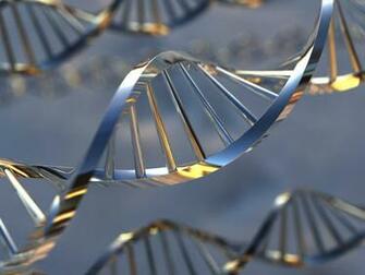 Silver Dna Helix Top