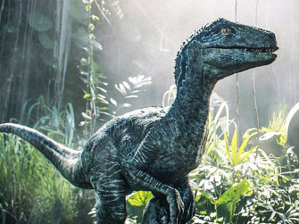Blood Wing On Blue Jurassic World