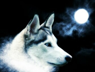 White Wolf