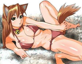 Ing Spice And Wolf HD Wallpaper Color Palette Tags
