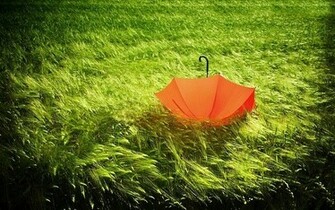 Grasslands Wallpaper Collection