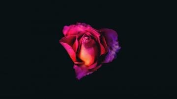Dark Oled Wallpaper Top Background