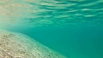 Ocean Floor Wallpaper