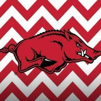 Pin Arkansas Razorback Stencil Desktop Wallpaper Cake