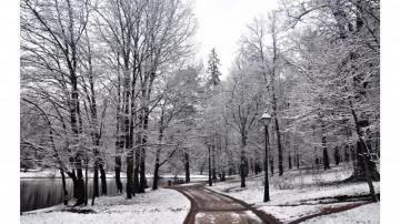 Vintage Snow Winter 4k Wallpaper