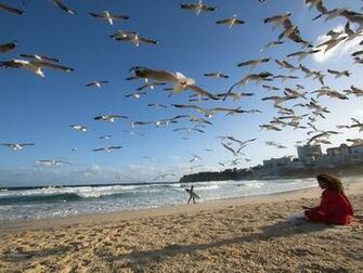 National Geographic Wallpaper Bondi Beach Australia