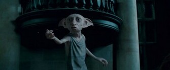 Dobby Harry Potter Wiki