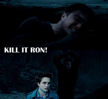 Funny Pictures Of Harry Potter Vs Twilight Nababan Wallpaper