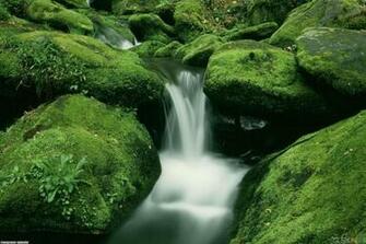Great Smoky Mountains Wallpaper Open Walls