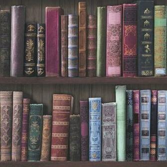 Book Shelf Wallpaper Multi Fresco