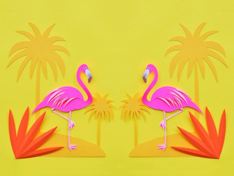 Flamingo Wallpaper HD Net