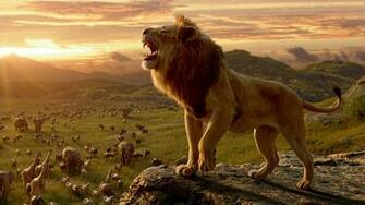 Lion King Phone Wallpaper 4k The Videos