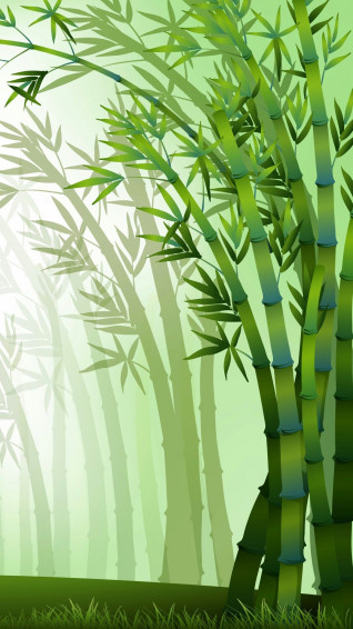 iPhone Wallpaper Bamboo