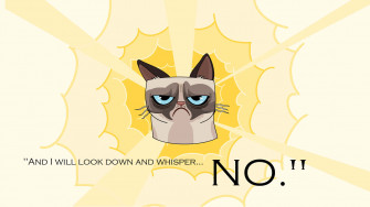 Grumpy Cat Wallpaper