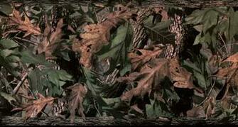 Pink Realtree Camo Computer Wallpaper Real Tree Wall Paper