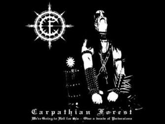 Best Carcass Wallpaper