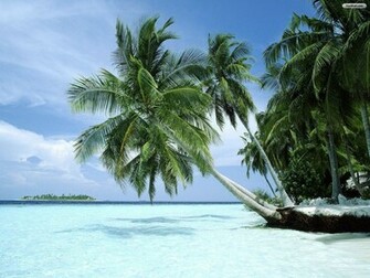 Paradise Beach Wallpaper