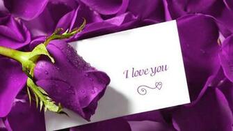 Love Quotes Reasons Why I You Rose Wallpaper Romance