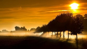 Sun Rays Wallpaper