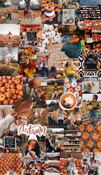 Cute Autumn Wallpaper