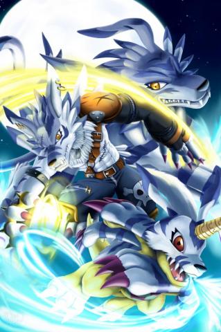Evolution Gabumon By Sonicolas With Image