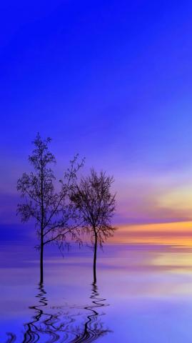 Incredible Wallpaper Beautiful Landscape