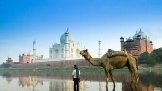 Wallpaper Islam Architecture Camel Street Full HD