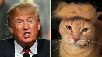 These Donald Trump Look Alikes Show Where This Billionaire Might Get