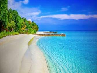 Antigua Y Barbuda Playas Wallpaper Ecopetit Cat