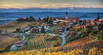 Italia Italy Piemonte Treiso Landscapes Wallpaper