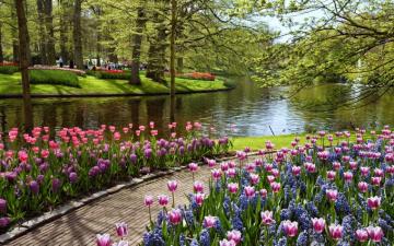 Beautiful Summer Garden Wallpaper HD Desktop And