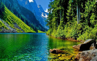 Nature Image Wallpaper