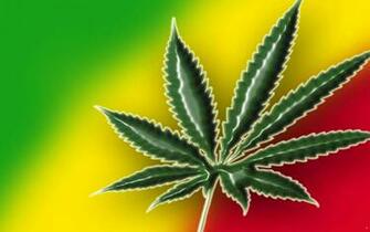 Weed Wallpaper HD Imagebank Biz