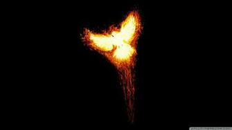 Phoenix Bird Wallpaper Wallpoper