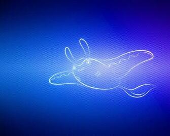 Wallpaper Swim Pokemon Mantine Standard