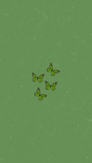 Sage Green Aesthetic Background Wallpaper