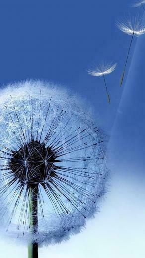 Samsung Galaxy Note Wallpaper
